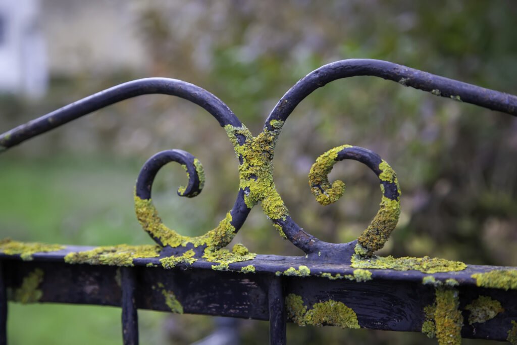 How to Maintain Wrought Iron Gates and Fences to Prevent Rust